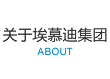 關于埃慕迪集團